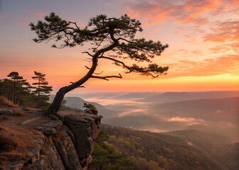 Lone windswept pine tree clinging to a rocky cliff edge overlooking a misty valley at sunrise with vibrant orange and yellow sky