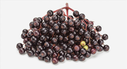 A close up view of a bunch of dark purple elderberries on a white background showing natural detail and texture