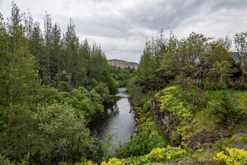 river in a canyon in Iceland