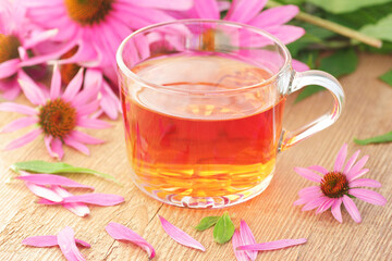Echinacea purpurea herbal tea  on rustic background, copy space, natural medicine, antiviral treatment, immune booster concept