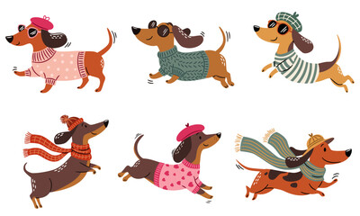 A set of flat vector illustrations in a childlike style. Cute dachshunds run and jump wearing different sweaters, hats, glasses, and berets. . Vector illustration