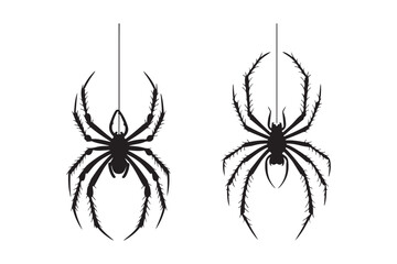 Two spiders hanging from silken threads