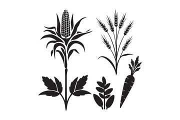 Vintage style botanical illustrations of farm crops and vegetables