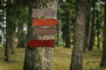 Four blank arrow-shaped wooden signs in red and brown are mounted on a tree trunk in a forest, pointing in different directions.