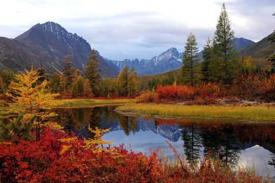 Autumn nature of Magadan, Kolyma. Colorful Taiga. Snowy mountains are reflected in the serene surface of the lake. A remote, hard-to-reach place for hiking, backpacking