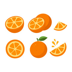 Flat style orange set isolated on white background
