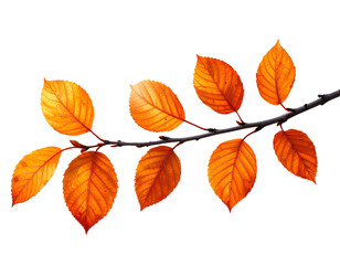 Naklejka premium Firefly_https - -www.freepik.com-free-psd-autumn-branch-with-vibrant-orange-leaves_409843460.h