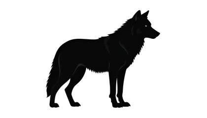 Silhouette of a black wolf