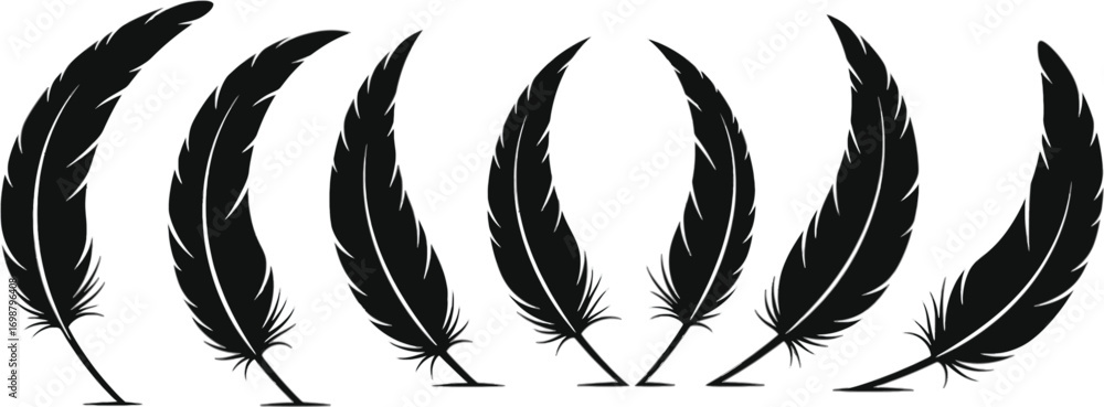 Poster vector art of elegant arrangement of black feather silhouettes, creating a symmetrical and balanced 
