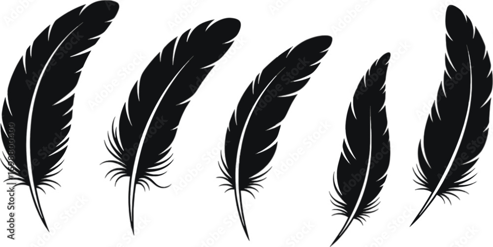 Poster vector art of set of black feather collection of different feather shape for decoration and design v