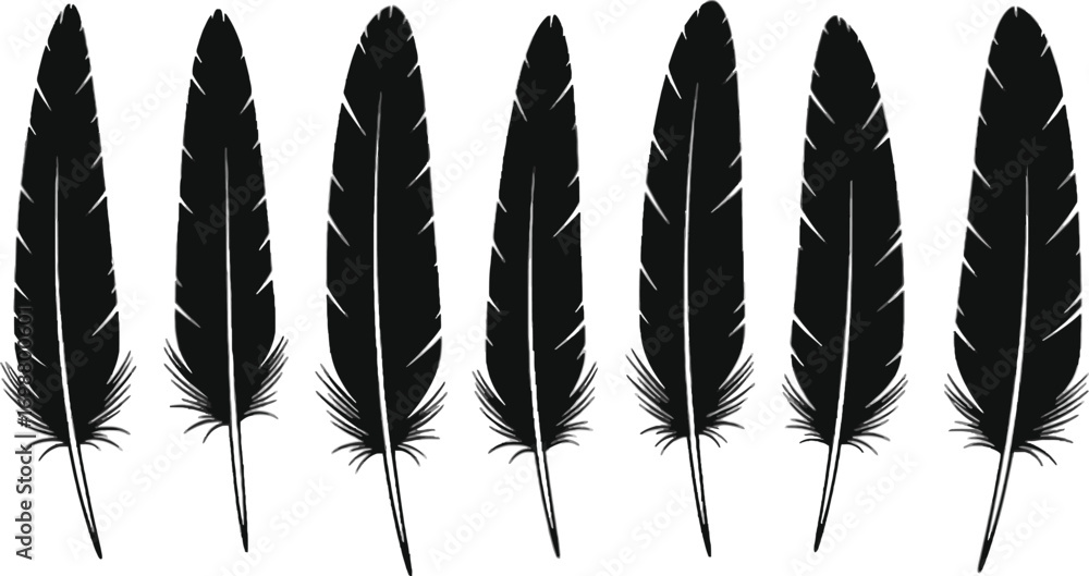 Poster vector art of collection of seven black feathers, perfect for adding a touch of elegance to your des