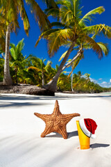 Santa hat on sanblock tube and starfish on caribbean sea coastline with palms. Christmas celebration