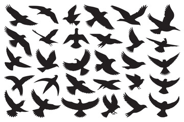 avian flight silhouette bundle vector shapes for wildlife art logo design backgrounds ai eps jpeg png