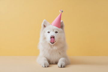 A cute, white, short-haired dog with a colorful party hat is licking its nose