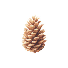 Fototapeta premium Close-up of a pine cone with detailed texture and natural color