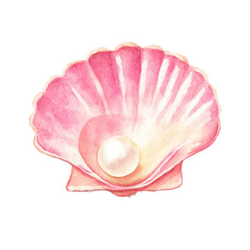 Watercolor pink seashell with pearl