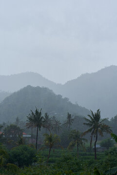 A tropical rainstorm in a rice field with cascading mountains and palm trees.