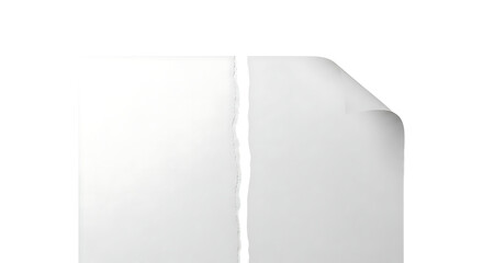 Torn sheet of paper isolated on white background with curled corner