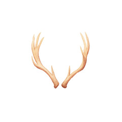 Obraz premium Natural deer antlers on black background