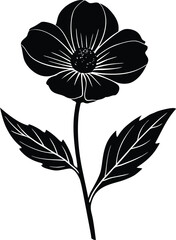 Buttercup Flower Silhouette Design | Buttercup Flower Outline Vector