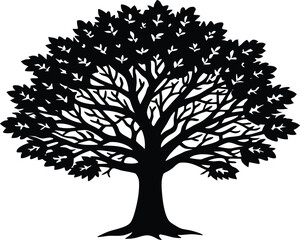 Obraz premium Elm Tree Silhouette Design | Elm Tree Outline Illustration
