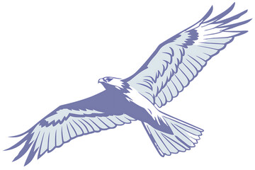 Illustration of a majestic eagle soaring through the sky, wings spread wide, isolated on transparent background, showcasing its power and grace in flight