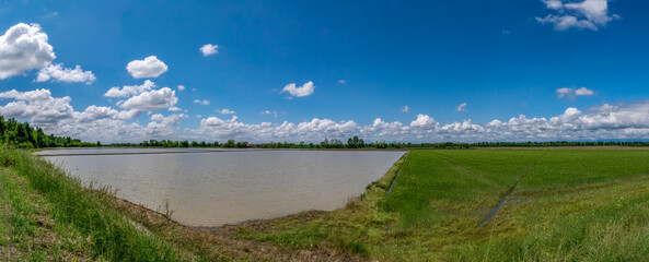 Panorama di risaie della pianura novarese in una giornata di sole e nuvole