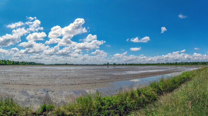 Panorama di risaie della pianura novarese in una giornata di sole e nuvole