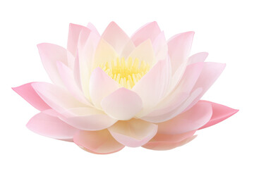 A large pink flower with a yellow center