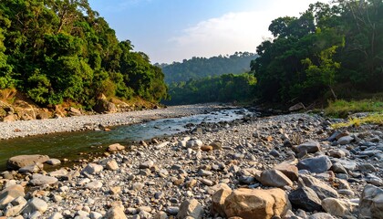 Riverbed through lush tropical forest