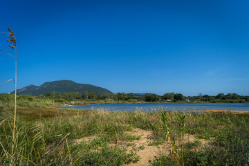 Landscape of a lake with mountains in the background and grass.