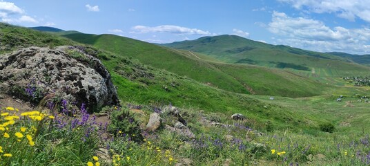 Fototapeta premium Green grass and flowers, mossy stone, mountain landscape with blue sky and clouds