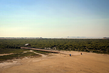 Al Khor Island (aka Purple Island) general landscape view with mangroves and foot bridge, Qatar