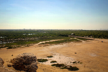 Al Khor Island (aka Purple Island) general landscape view with mangroves, Qatar