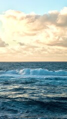 The Portuguese ocean