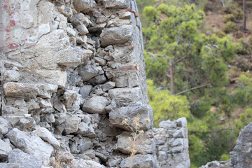Ruined Stone Wall with Exposed Rocks and Trees