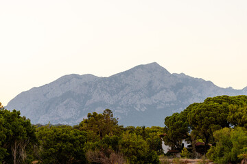Mountain Range Behind Forest with Building