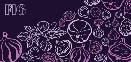 Isolated vector illustration of fig fruits, fig slices and fig branch with leaves in plum and purple colors. Fig set. Outline vintage style on white background. Hand drawn for menu and print.