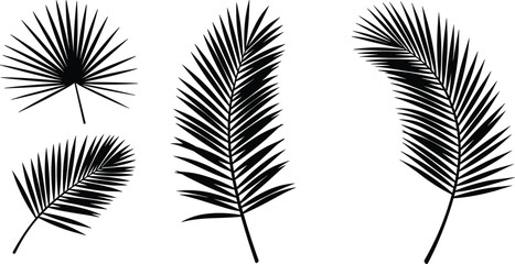 Vector tropical palm leaves silhouettes collection isolated on white background, perfect for botanical designs, summer decor, and exotic themes