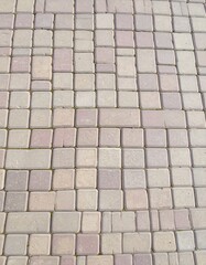 Fototapeta premium Paved walkway, light gray/beige tiles