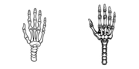 The Skeleton Hand Graphic is a stark black and white illustration that showcases a skeleton hand with detailed bone structure, suitable for use in Halloween, gothic, or anatomical themes