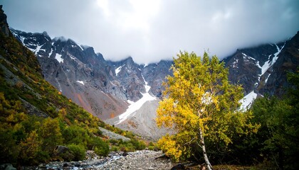 Autumnal mountain valley with a stream