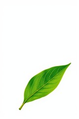 Fototapeta premium Single green tea leaf, vibrant green, isolated on pure white background. Perfect for tea packaging, health, nature, and beverage designs, ecology, macro