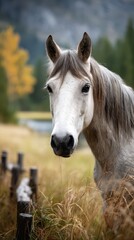 Obraz premium Horse stands majestically in a meadow surrounded by autumn foliage near a calm water source in a serene landscape