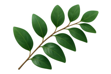 Fototapeta premium Vibrant green leaves growing on a branch, isolated on a transparent background, ready for compositing and design work