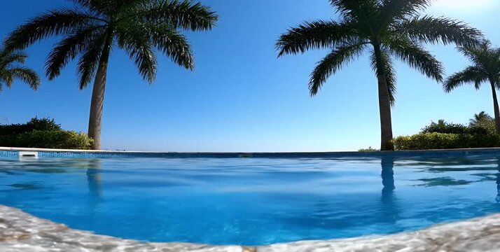 Swimming pool with palm trees and ocean view on a sunny day.