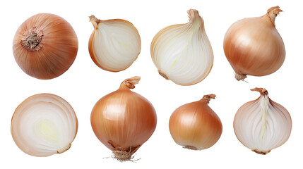 Onion Variety Mockup