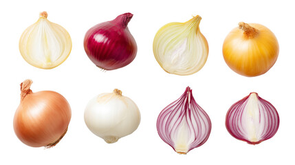 Onion Variety Mockup