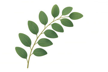 Realistic illustration featuring a branch of vibrant green leaves, isolated against a transparent background, highlighting natural beauty and freshness