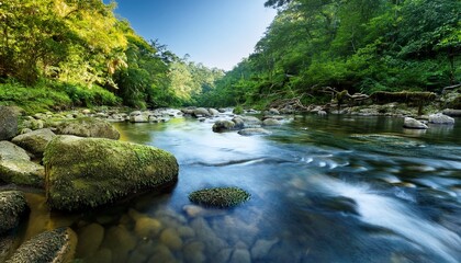 tranquil river flowing through lush green forest with rocky banks